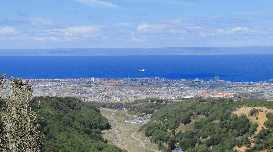 Forest trails and native trees in Reserva Forestal Magallanes